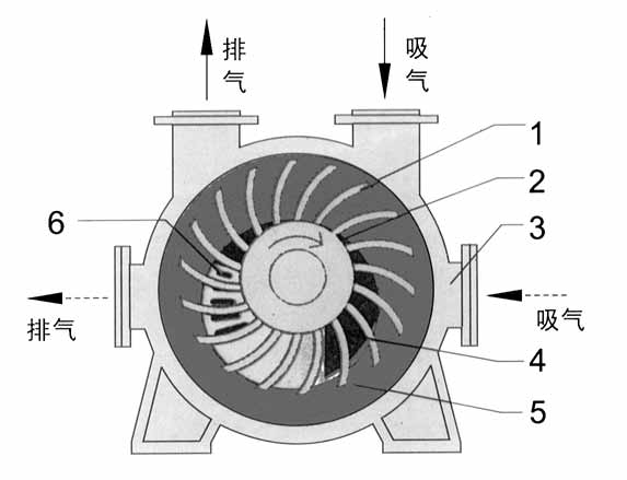 2BE1水环式乐鱼(中国)结构图